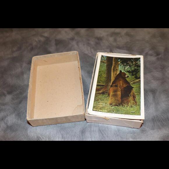 Vtg 1930s Yellowstone Park Postcards 100 W/ Original Box All Unused Haynes Photo - Picture 5 of 9